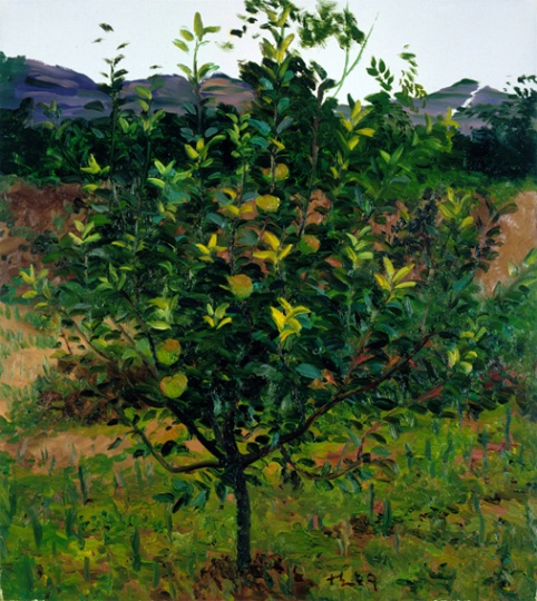《蘋果樹》100x90cm 布面油畫 2009
