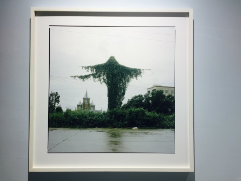 作品《北方，南方－2008年7月7日 廣東 汕尾》

