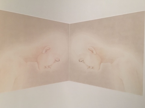 作品輪廓被弱化，與背景相接處似乎有一層朦朧的光感
