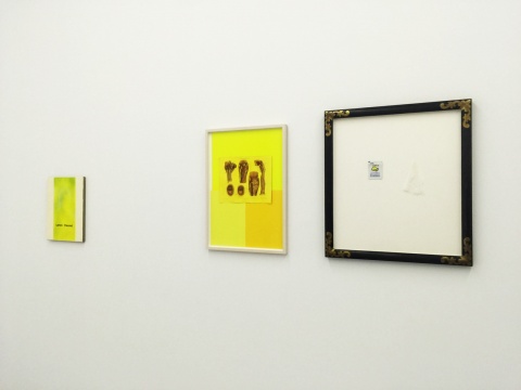 《Lemon Flavored》  40×30cm   布面丙烯、鉛筆和絲網(wǎng)印刷  

 65×46cm   紙上水彩

 70×63cm   塑料、棉紙

 2015
