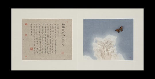 《蝴蝶手冊之二十二》 30×36cm×2 紙本繪畫、蝴蝶標(biāo)本 2014
