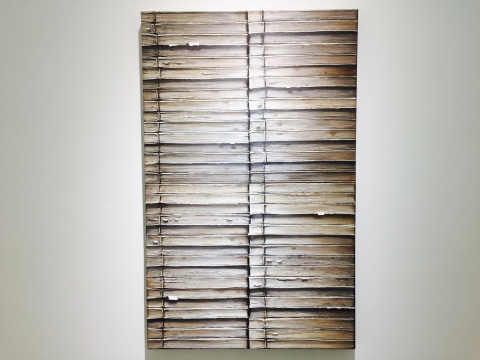 《hardbacks#8》兩聯(lián)畫(huà) 146x91cm 2015
