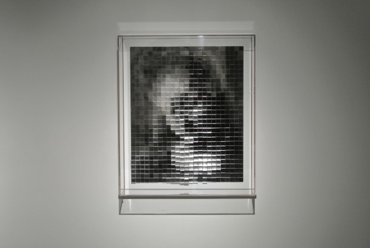 《水晶肖像》 50×60cm 亞克力 2015
