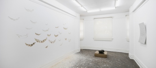 “小徑”展覽現(xiàn)場
