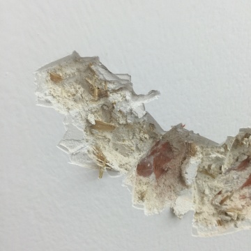 《嘲諷墻》（局部）
