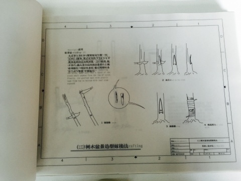 文本資料局部：樹木盆景造型嫁接法
