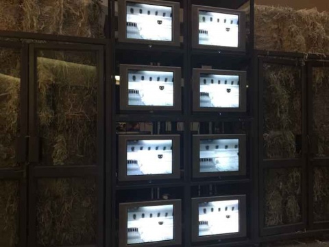 視頻與“書垛”