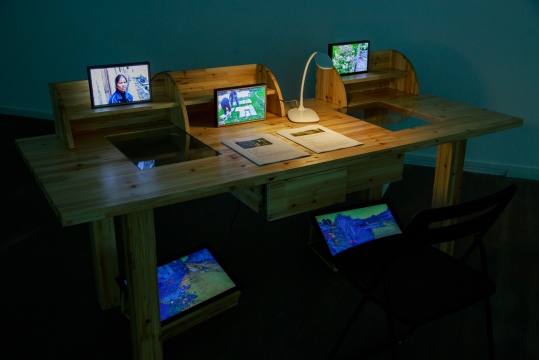 徐坦 《問題，地-土和社會植物學(xué)》影像 2013
