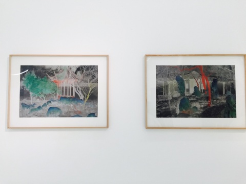 洪磊2015年作品《地獄之火》、《地域之約》
