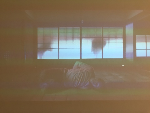 劉波+李郁2011-2013年作品《暫未命名》
