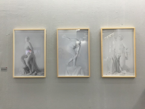 楊柳2013年作品《一個(gè)中國(guó)胖子的西方美術(shù)史》
