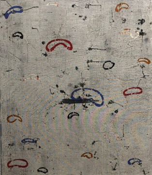 《色彩的滾動》 120×105cm 鋼網(wǎng)油畫 2010
