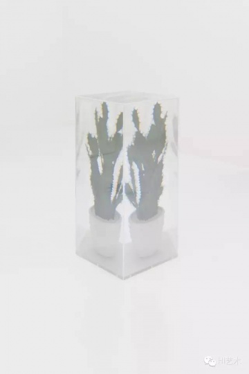 名和晃平 《PixCell[Toy-Cactus#2] 》102.1x 46.3x46.3cm 亞克力盒子、塑料仙人掌 2011
