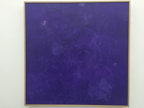 這次展覽的唯一一幅抽象架上作品《蝴蝶》,是藝術(shù)家減肥時(shí)跳繩打上去的痕跡?！袄L畫是為了減肥，減肥是為了藝術(shù)?！?