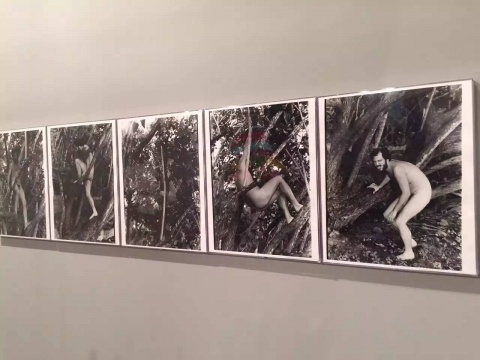 邁阿密當(dāng)?shù)禺嬂?Fredric Snitzer Gallery
