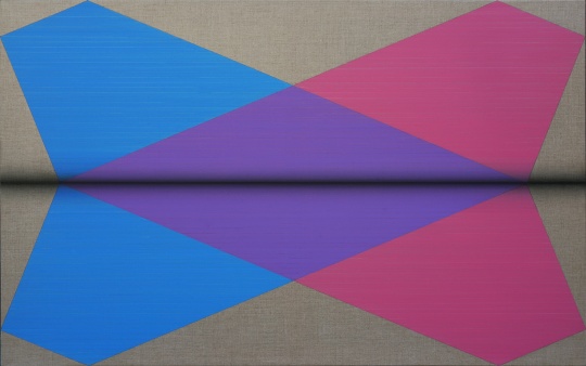 鞠方 《一頁一頁·雙飛機(jī)》 73×118cm  布面油畫 2015
