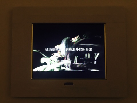 陳曉云《植物羅曼蒂克》
