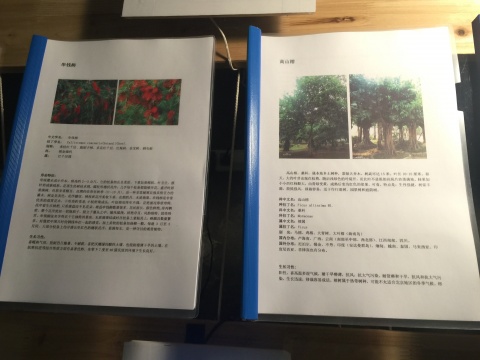 工作臺上的文本資料
