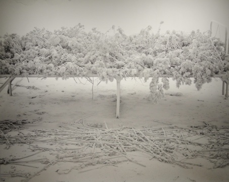 計洲 《塵No.1》 150×180cm 數(shù)碼輸出 2010
