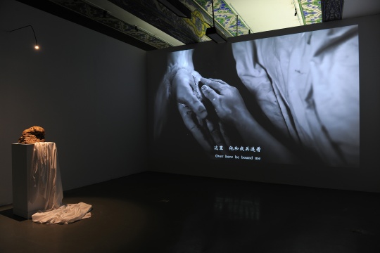 展覽現(xiàn)場
