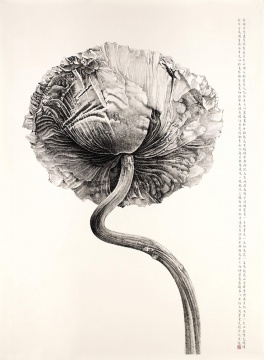 劉丹  《罌粟花》  212×148cm  水墨紙本  2008  成交價(jià)：692萬港幣  由美國收藏家競(jìng)得
