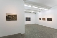 段正渠個(gè)展“過(guò)隴山側(cè)”開(kāi)幕 訴說(shuō)深情的土地情懷,段正渠