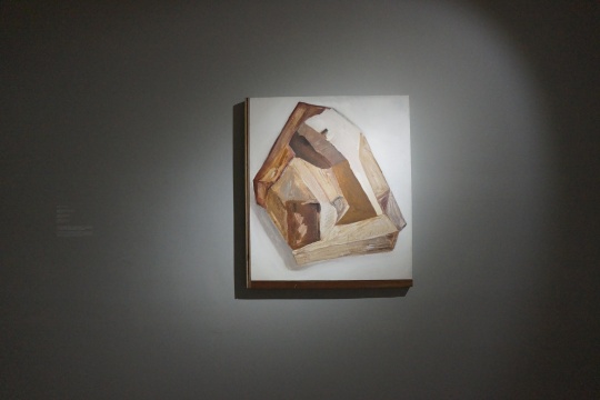 陳彧君 《相似物0626-6260》 72X83.5CM 布面丙烯 木地板 2015
