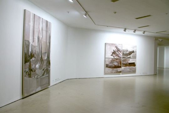 展覽空間 陳彧君作品《相似物》系列
