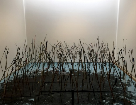 鞠婷+秦觀偉+秦澈   《蝸牛與黃鸝鳥》  尺寸可變  顏料、花泥、樹枝  2016

