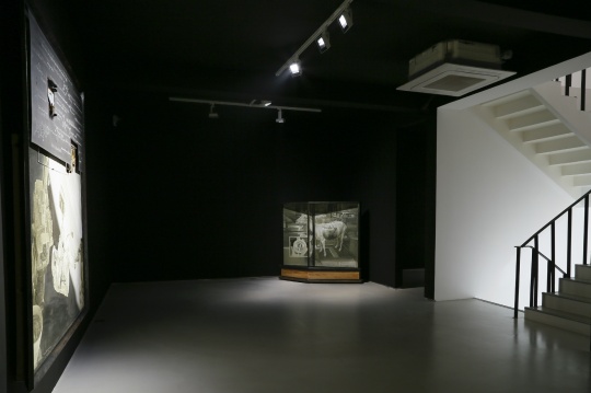 閆珩個(gè)展“調(diào)頻” 遠(yuǎn)處是作品《文明1-母羊》
