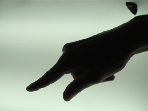 勞拉?普羅沃斯特 《藝術(shù)家 The Artist》影像 10分10秒 2010
