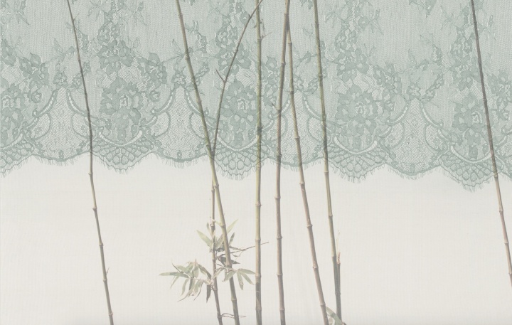 《絲圖9》（局部）雙層圖像再這個系列中從不同空間壓縮到同一畫面
