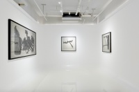 王川水墨展力利記開幕 呈現(xiàn)藝術(shù)家三十年創(chuàng)作縮影,王川