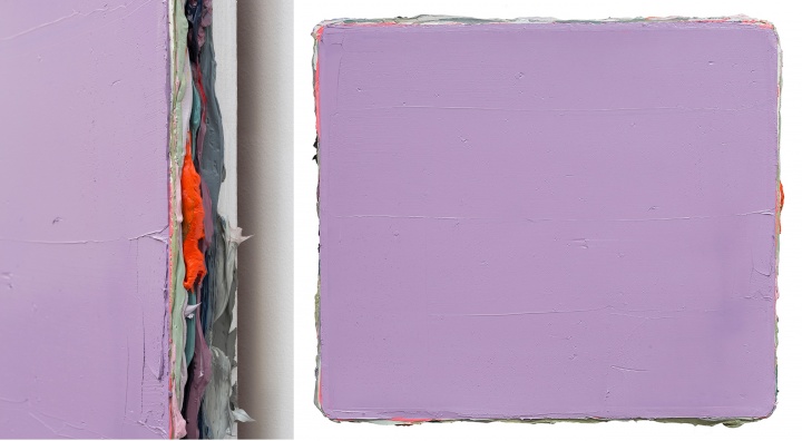 《無題2016D-2》 60x70cm  布面油畫  2015-2016 
