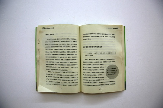 李亭葳作品中房子前租客留下來的“療愈”類書籍
