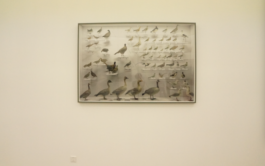 史國威《沉默之語》108.4×161.5cm 黑白照片手工著色  2015
