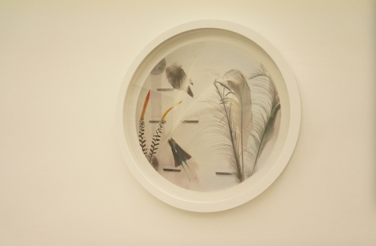 史國威《無聲的遺物》 60×60cm 黑白照片手工著色  2016
