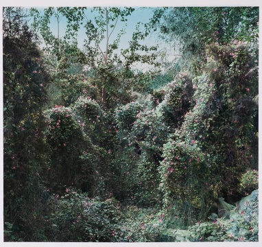 史國威《灰色樹林》 138.3×150.6cm 黑白照片手工著色  2015