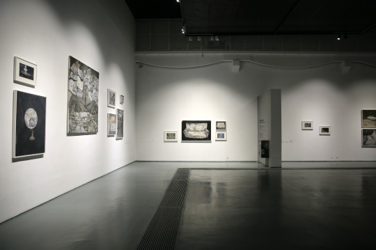 蜂巢當代藝術中心最新推出的展覽“開封抑郁癥：王頃 2008-2016”個展
