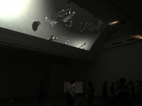 展覽現(xiàn)場
