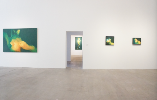 德薩畫廊吳建軍同名個(gè)展 展覽現(xiàn)場
