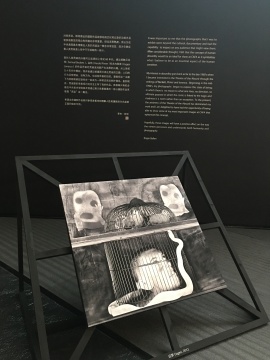 作品被放在鐵架上，朝向不同的方向，照片的尺寸也不盡相同，但傳遞給觀眾的感覺(jué)是一致的。
