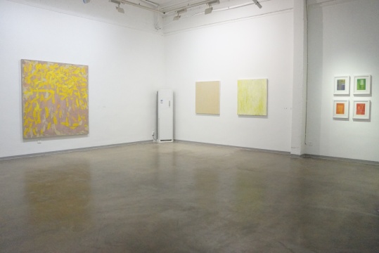 藝術(shù)家陳亮作品展覽現(xiàn)場(chǎng)
