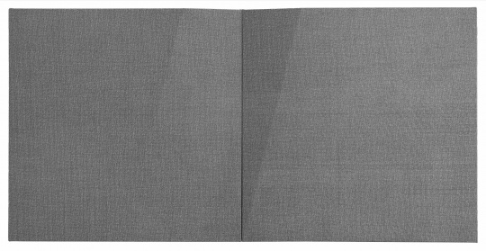 劉文濤 《無題》 80×80cm×2，2008
