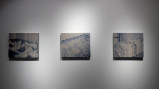 劉影 《同一性》系列 60×50cm（每件） 布面丙烯 2015

