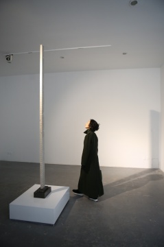 向京來到展覽現(xiàn)場觀看蔡磊作品
