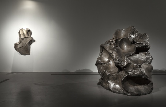 開(kāi)放的科學(xué)與藝術(shù) 隋建國(guó)個(gè)展“肉身成道”在佩斯北京開(kāi)幕