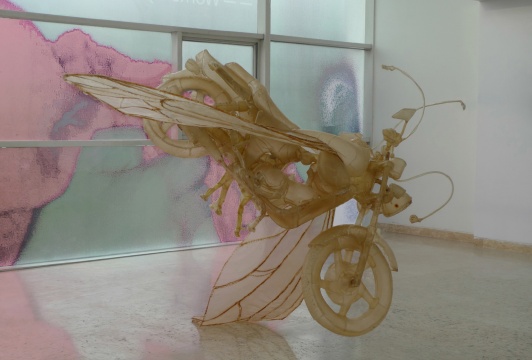 應(yīng)歆珣 《變形記》 牛皮 190×160×160cm 2011
