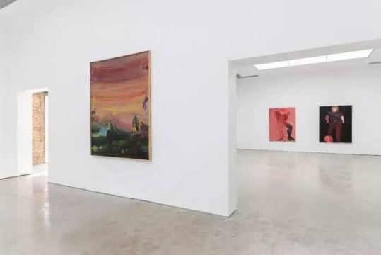 涉險的快感 馬軻、徐赫、趙銀鷗三人展覽于N3畫廊開幕