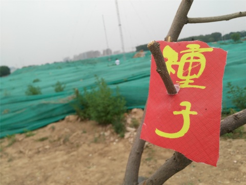 展覽邀請藝術(shù)家與遷移中的空間合作
